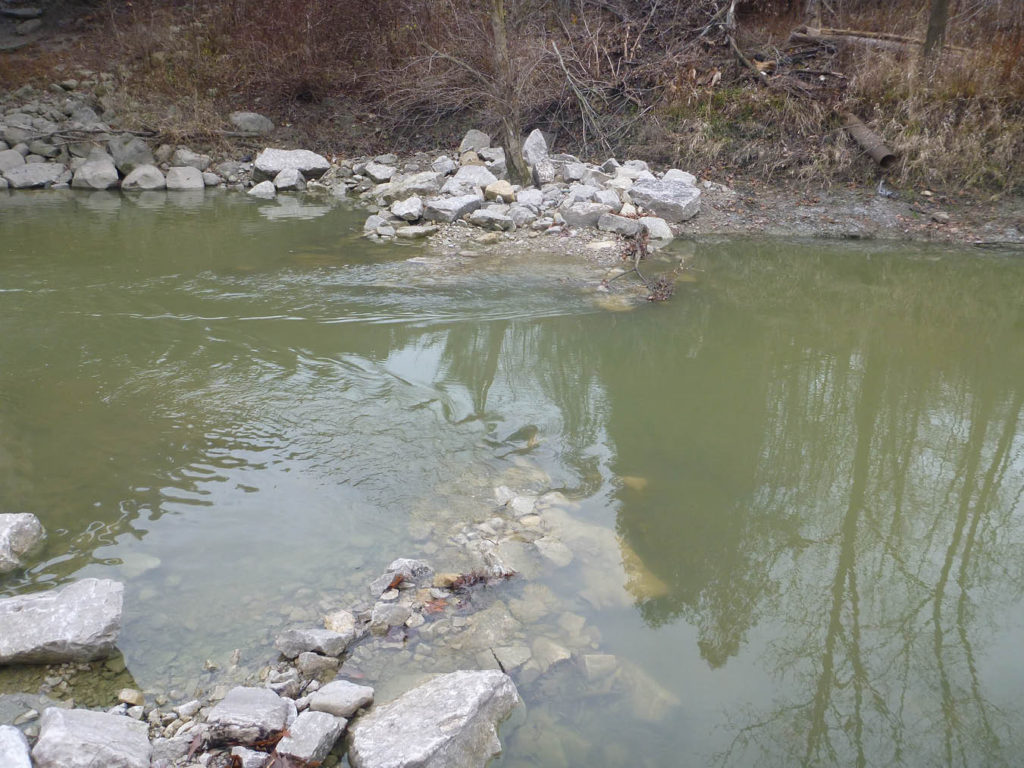 Picture of constructed riffle, rocks placed underwater on the edges of the river